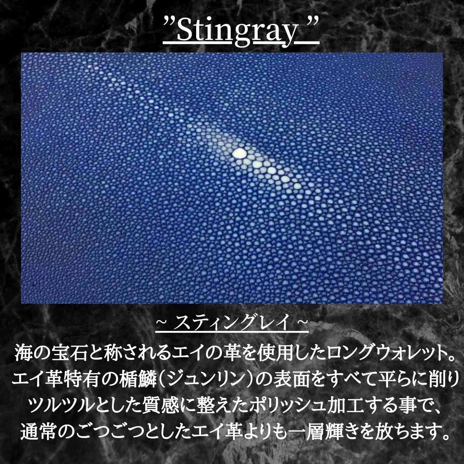 スタースティングレイ エイ ミニ財布 小銭入れ ブルー ST2-15 70821