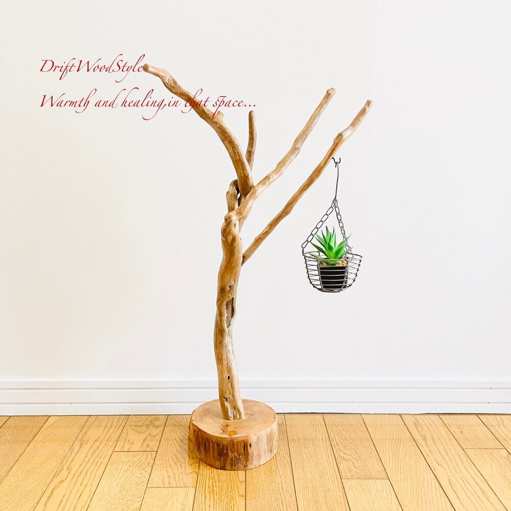 流木インテリア専門 DriftWoodStyle