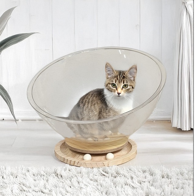 スケルトンボール　猫のくつろぎタイム