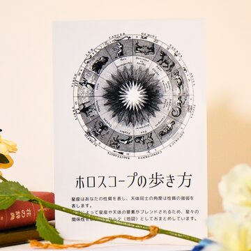 レインボードラゴンのアチューンメント伝授 | PAY ID