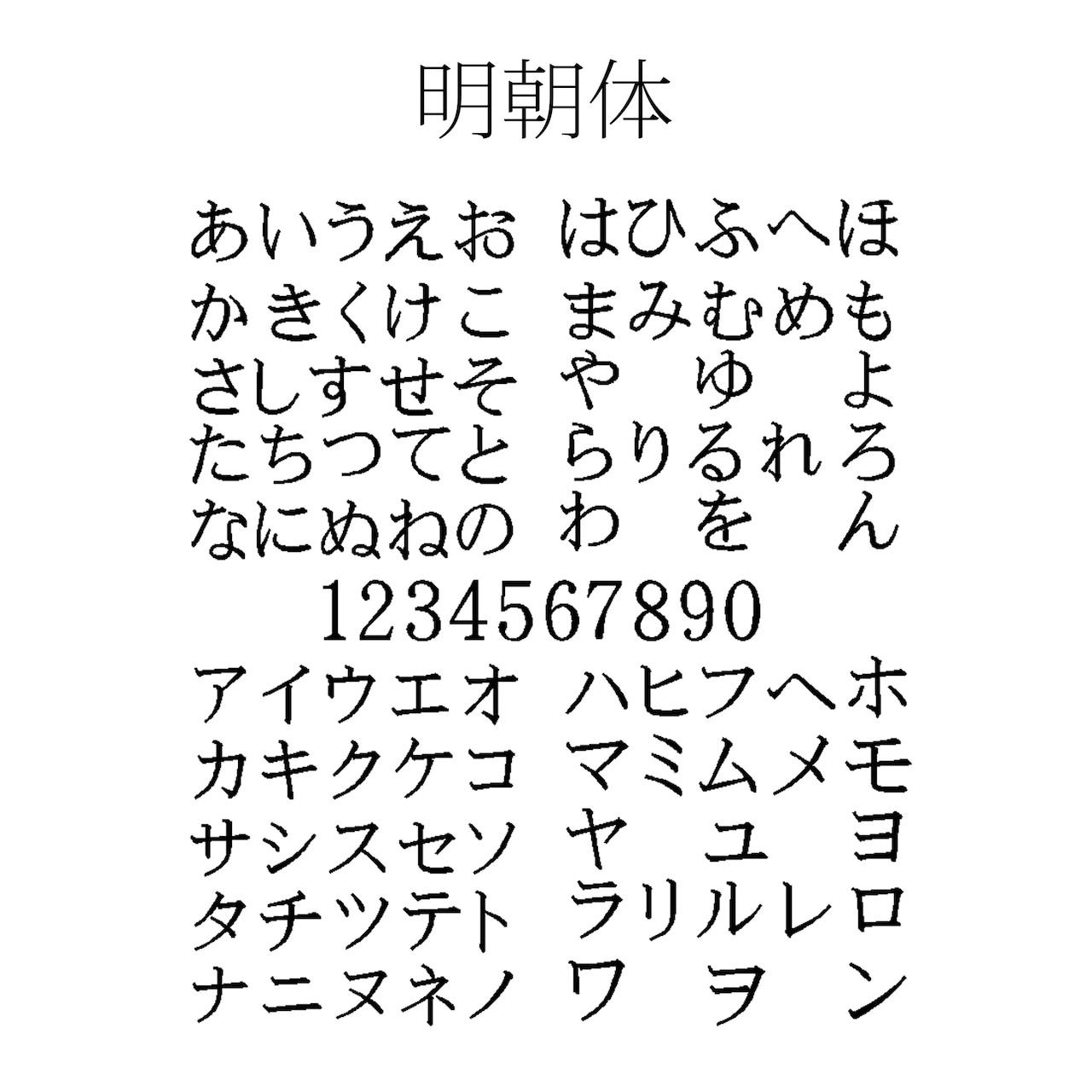 お名前刺繍ポーチ【お得な2枚目以降のご注文】