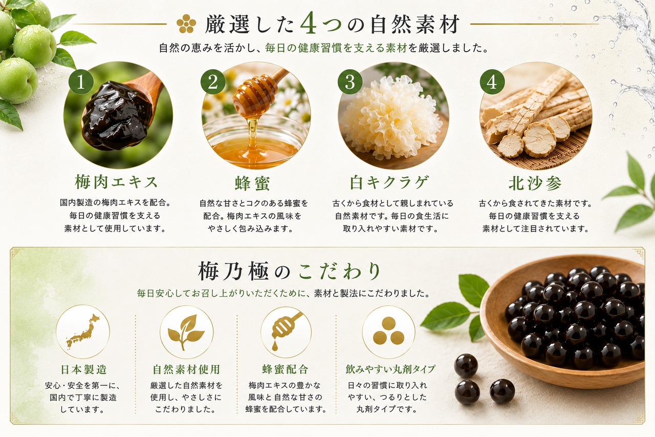 梅乃極