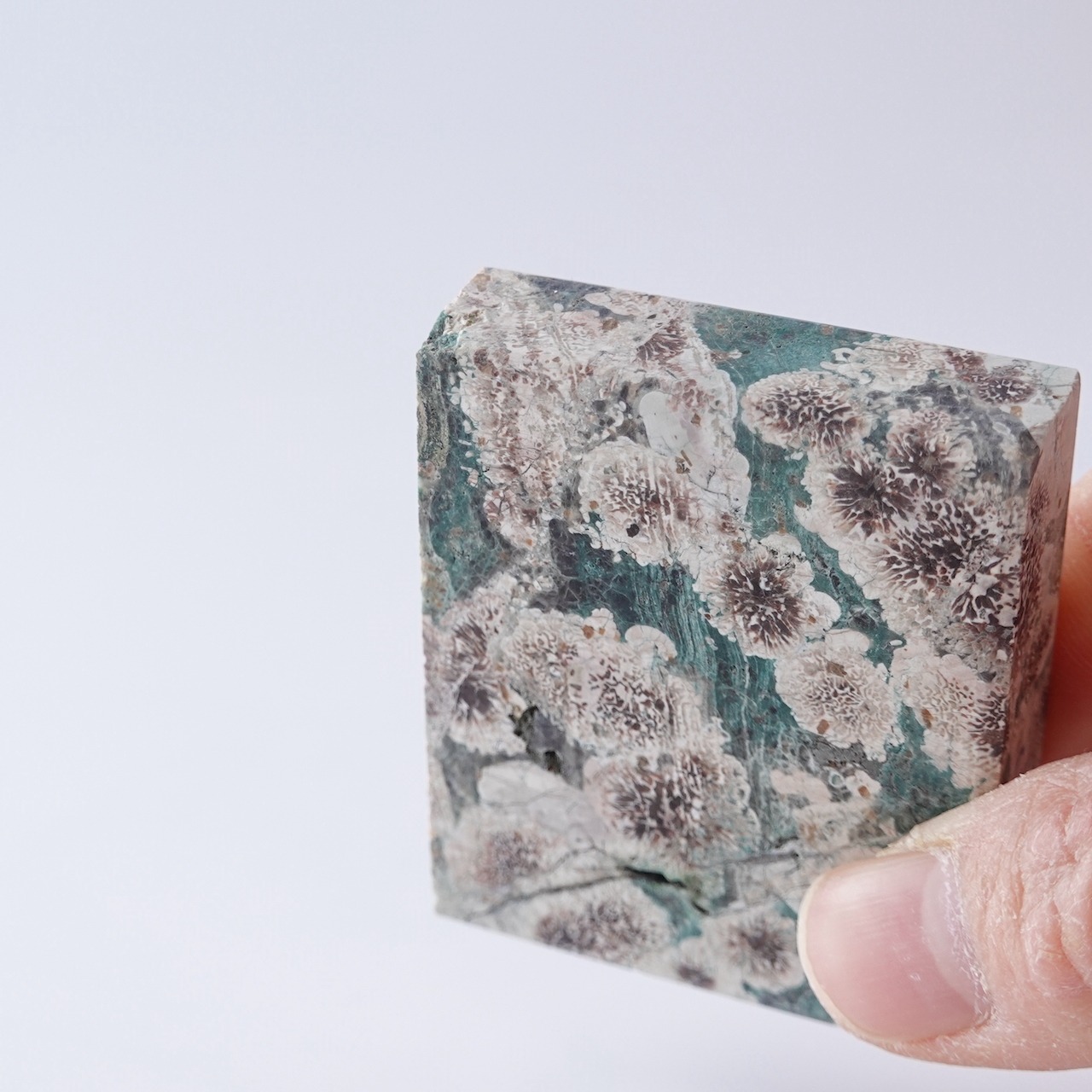 グリーンフラワージャスパー /  スラブ プレート