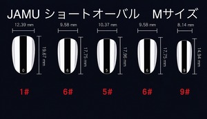 ネイルチップ：JAM260021　NailTipCollection