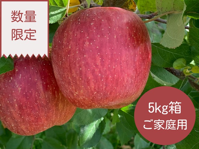 りんご【サンふじ ご家庭用】5kg箱 14〜18玉（送料込み）