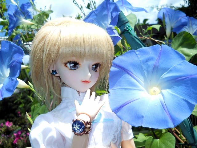 22mmレジンアイ　魔性の瞳　黒　半球ベース　＃６Ｋ