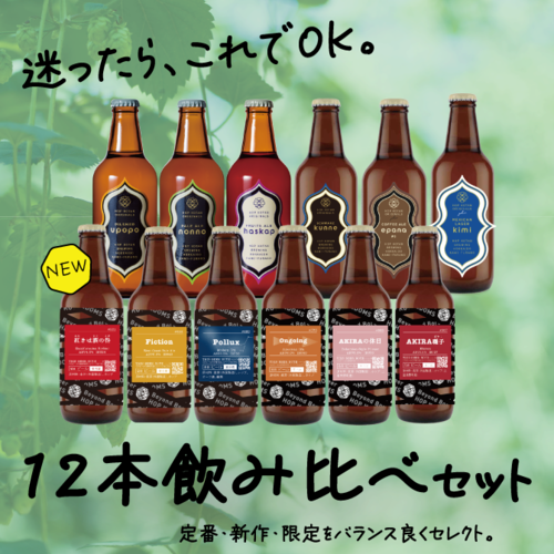 【全部楽しめる！】迷ったらこちら！しっかり楽しむ12本飲み比べセット