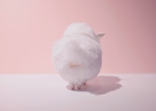 ヤギィ