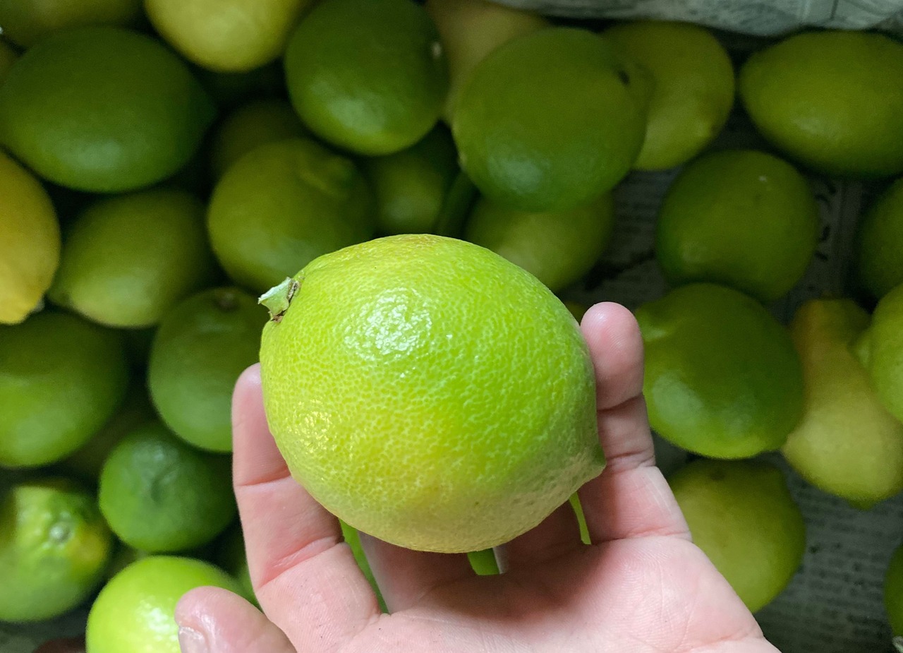 【全国送料無料】グリーンレモン（ハウス栽培）　20kg