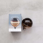 Edison Bulb LED E26 [PLANETA] GLOBE