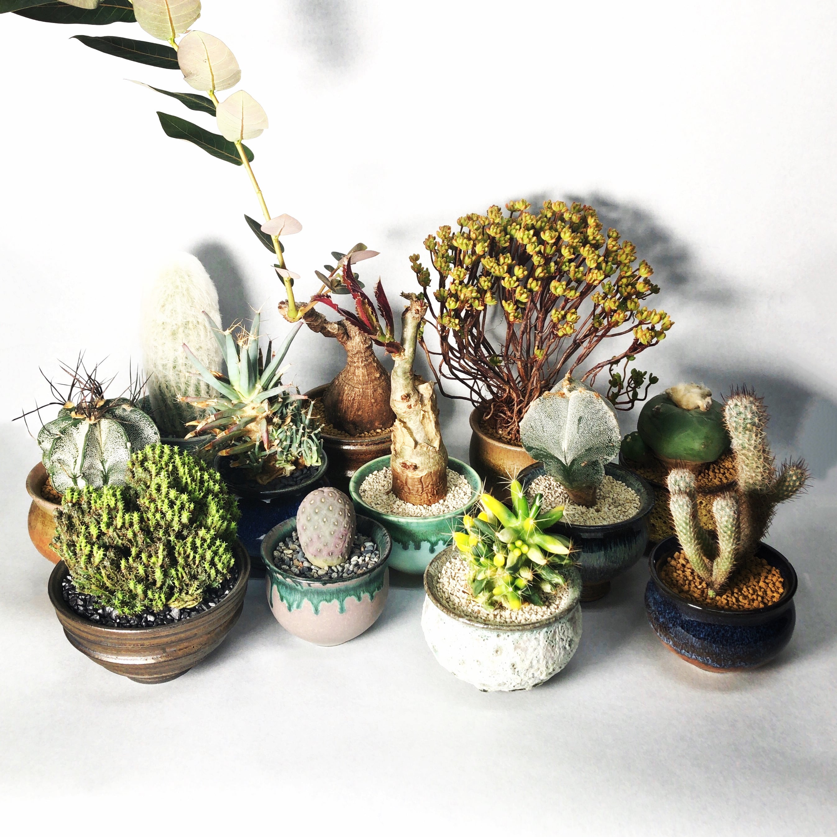 中川智治×trigger】ミニマ | trigger