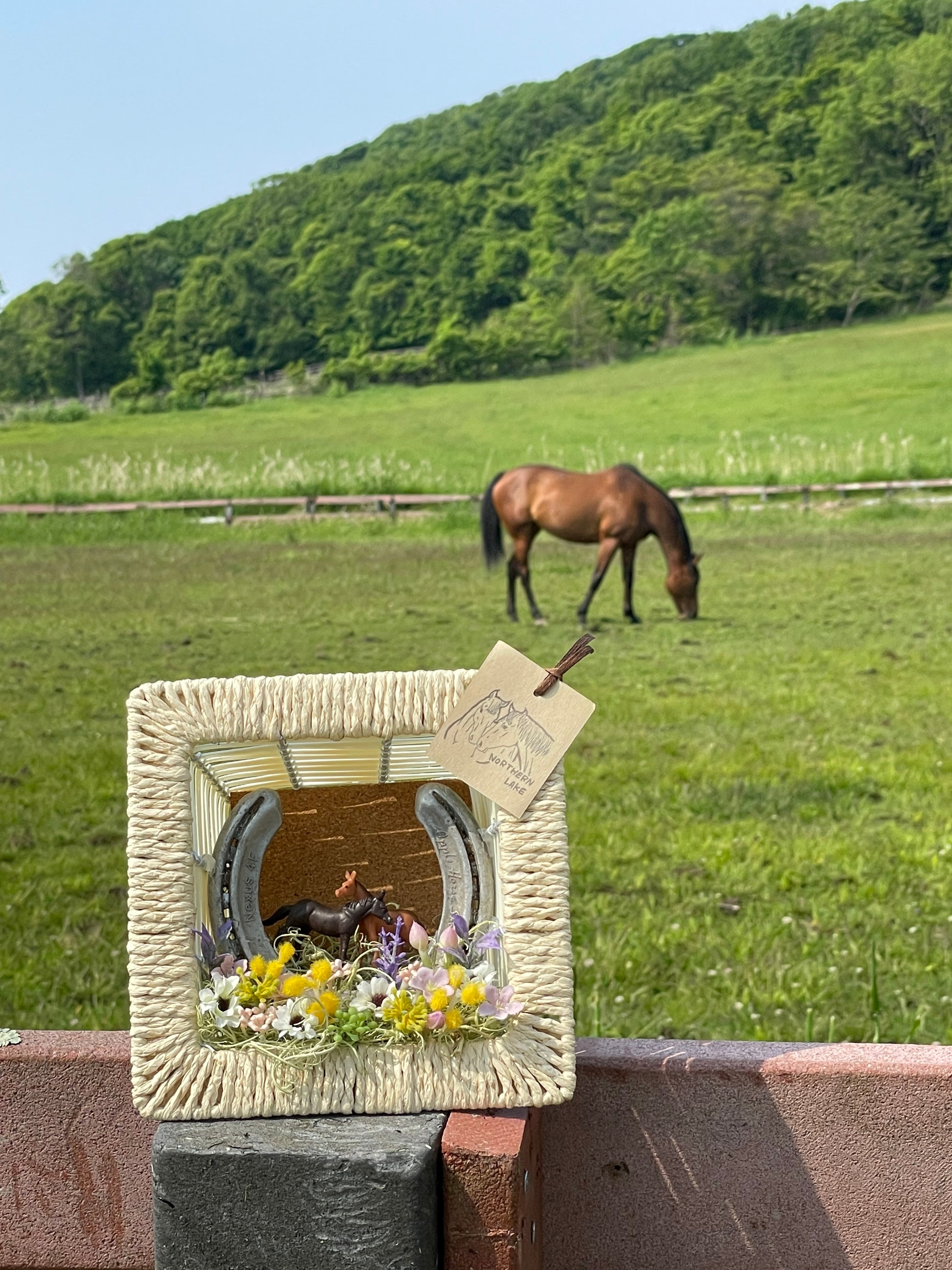 引退馬支援】馬のフレーム | northern3741