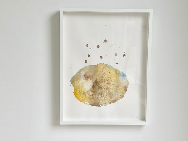 野村佳代  作品 g-31 ※額あり   (2021)