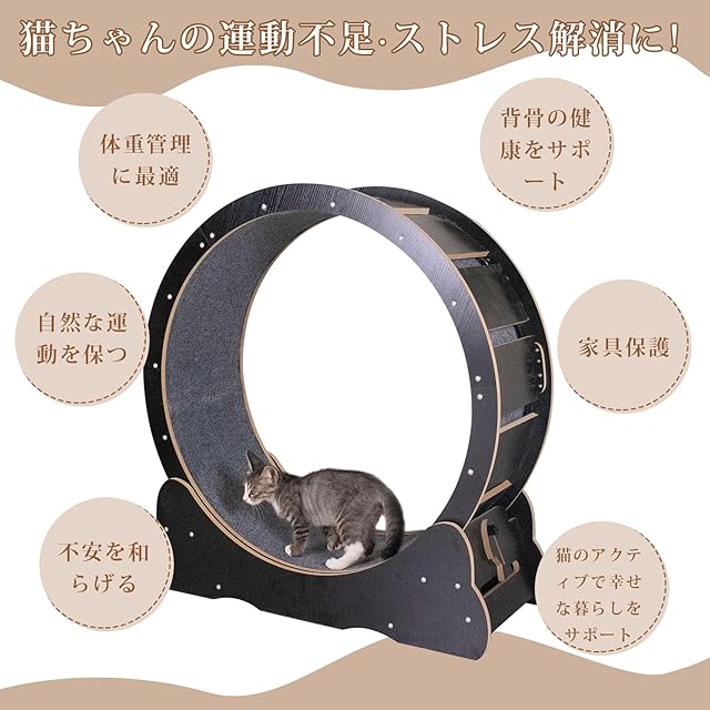 ELMO 室内猫用ドライフード 8.8kg ELMO ドライフード 成猫用 8.8kg お 手頃
