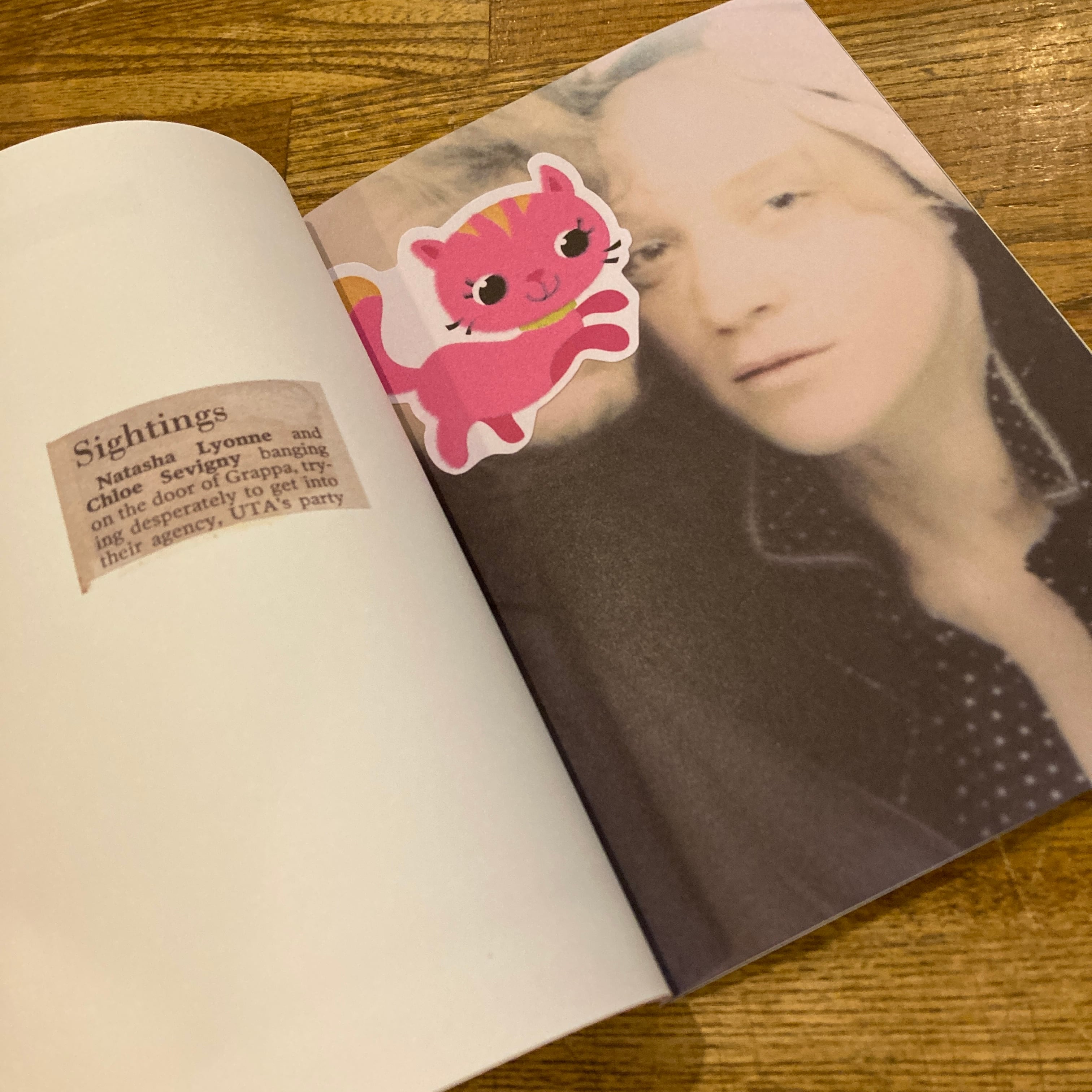 アート・デザイン・音楽 No Time of Love / Chloe Sevigny Chloe Sevigny No Time For Love – Errant Books