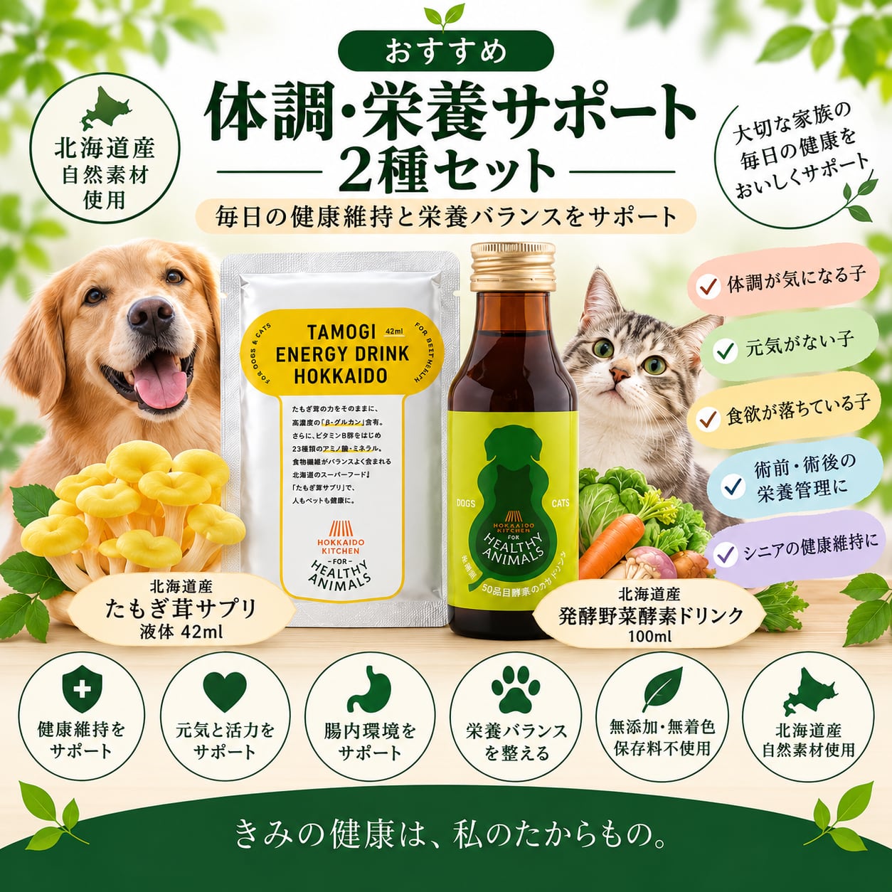 【犬・猫用】体調・栄養サポート 2種セット|北海道産たもぎ茸サプリ+発酵野菜酵素ドリンク|食欲・元気・シニアの健康維持に|ヘルシーアニマルズ