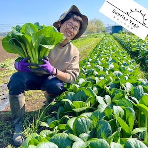 【リニューアル!】野菜計画の"濃い味"野菜箱（＊週１回配送）