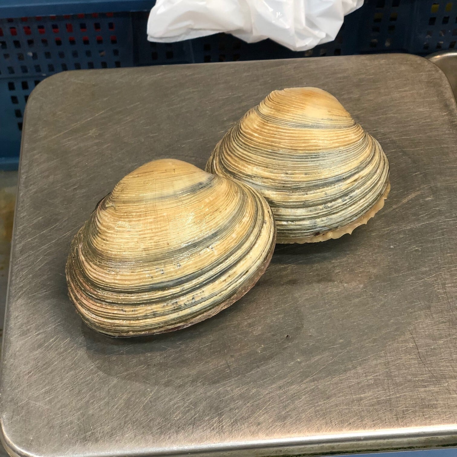 317b37a0eae051417868da0ada424e