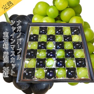 【贈答用】Hoshinaの宝石箱（36粒）…シャインマスカット＆ナガノパープル