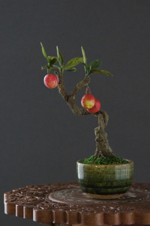 盆栽 ミニ林檎 Mini apple  Bonsai #65