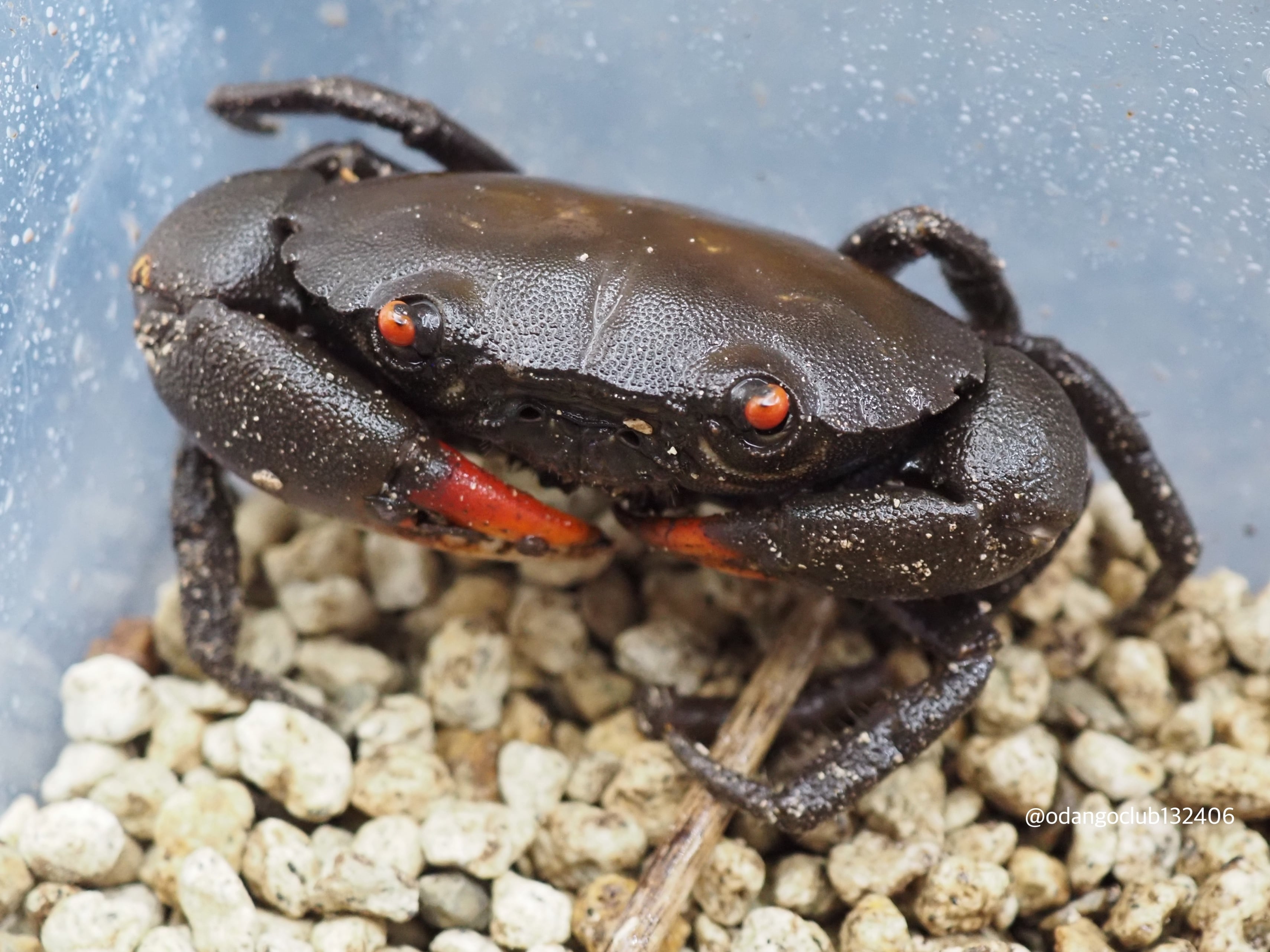 31834d640aa7fb2a8437fec7291b35