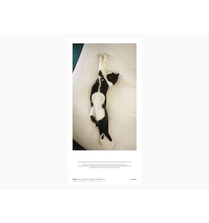 Sophie Calle - Souris Calle signed and numbered