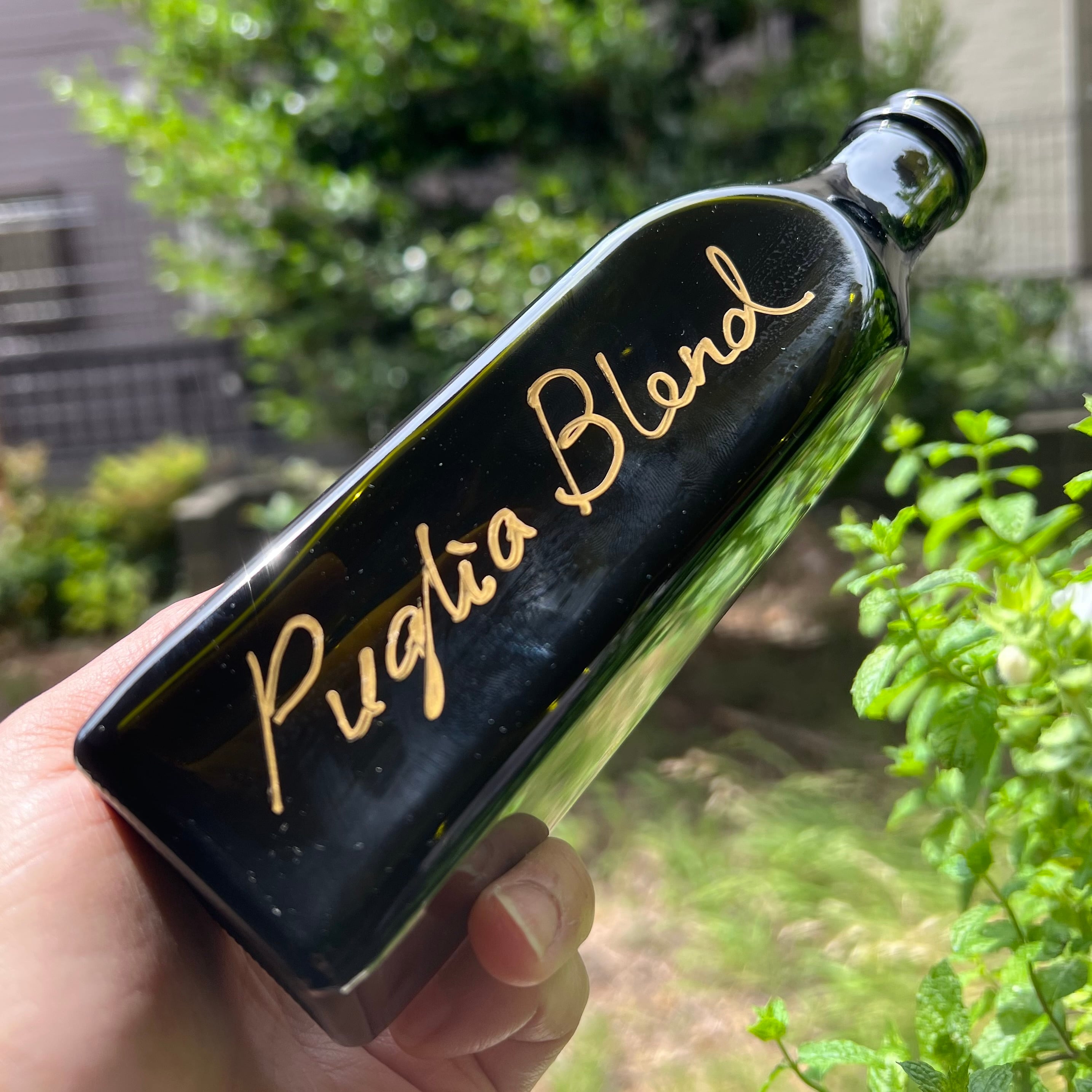 【’24-25】プーリア州のブレンドオリーブオイル サビーノレオーネ250ml