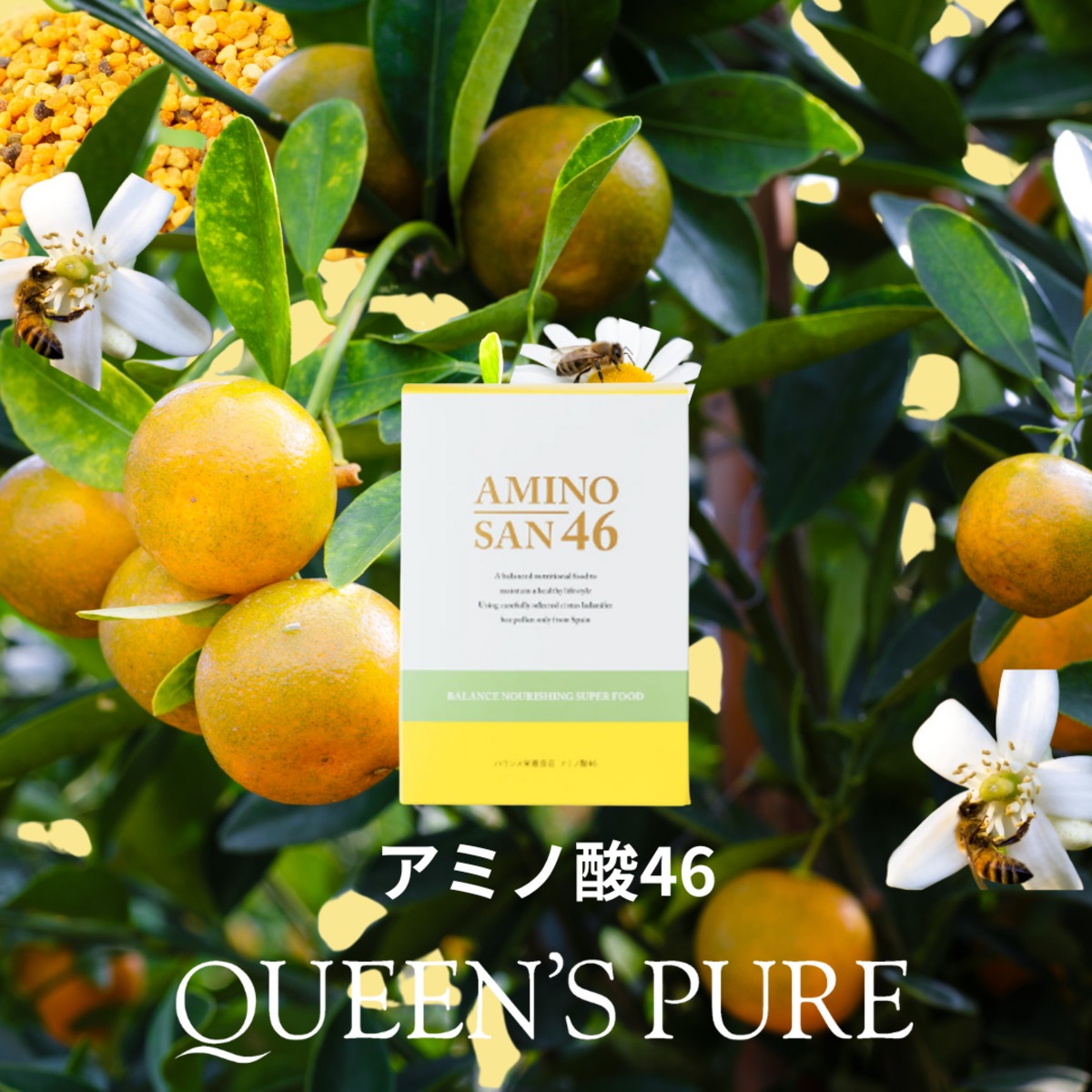 AMINO SAN46（アミノ酸46） | queens