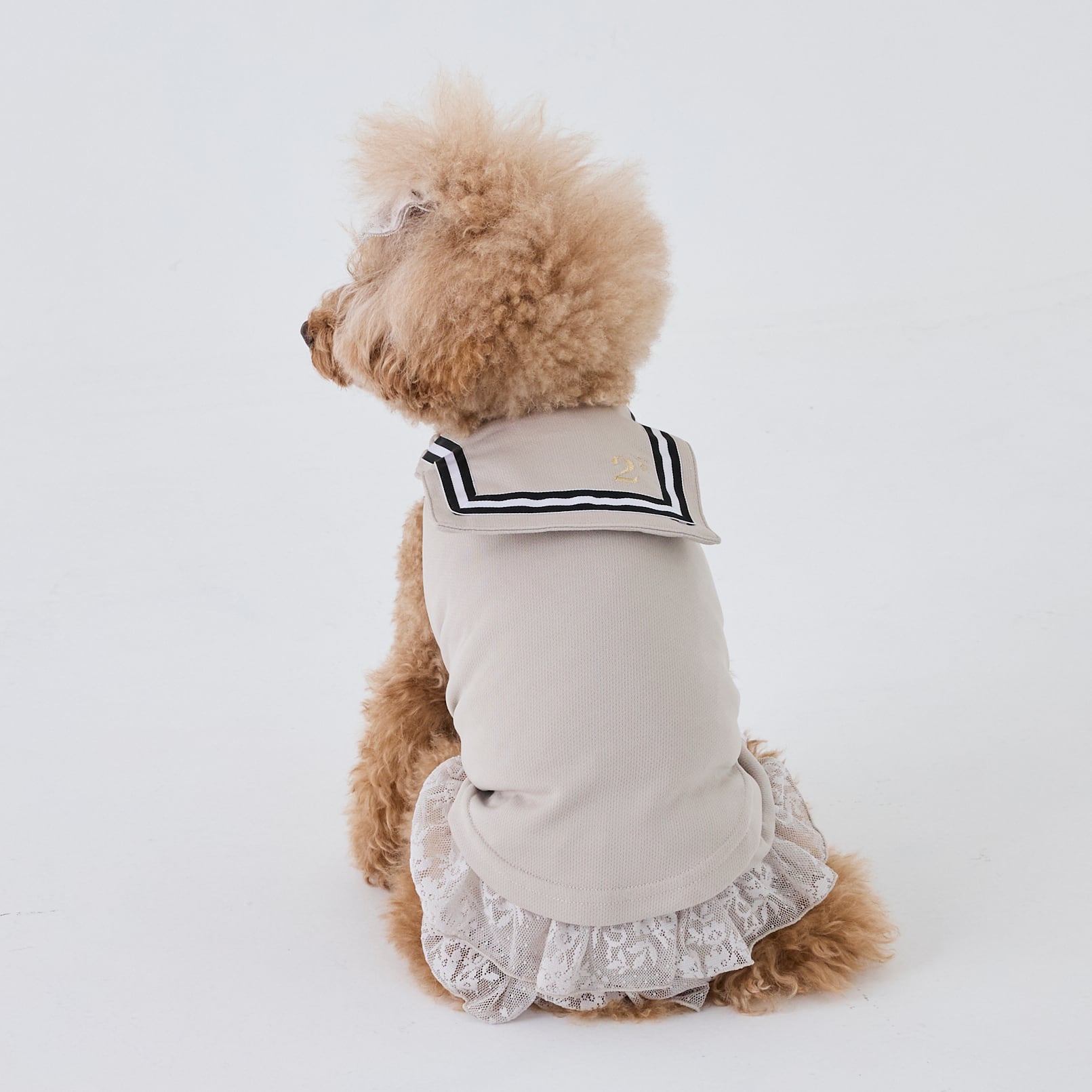 departures 犬服 日本製 CROWN departures 犬服 日本製 CROWN 楽天市場