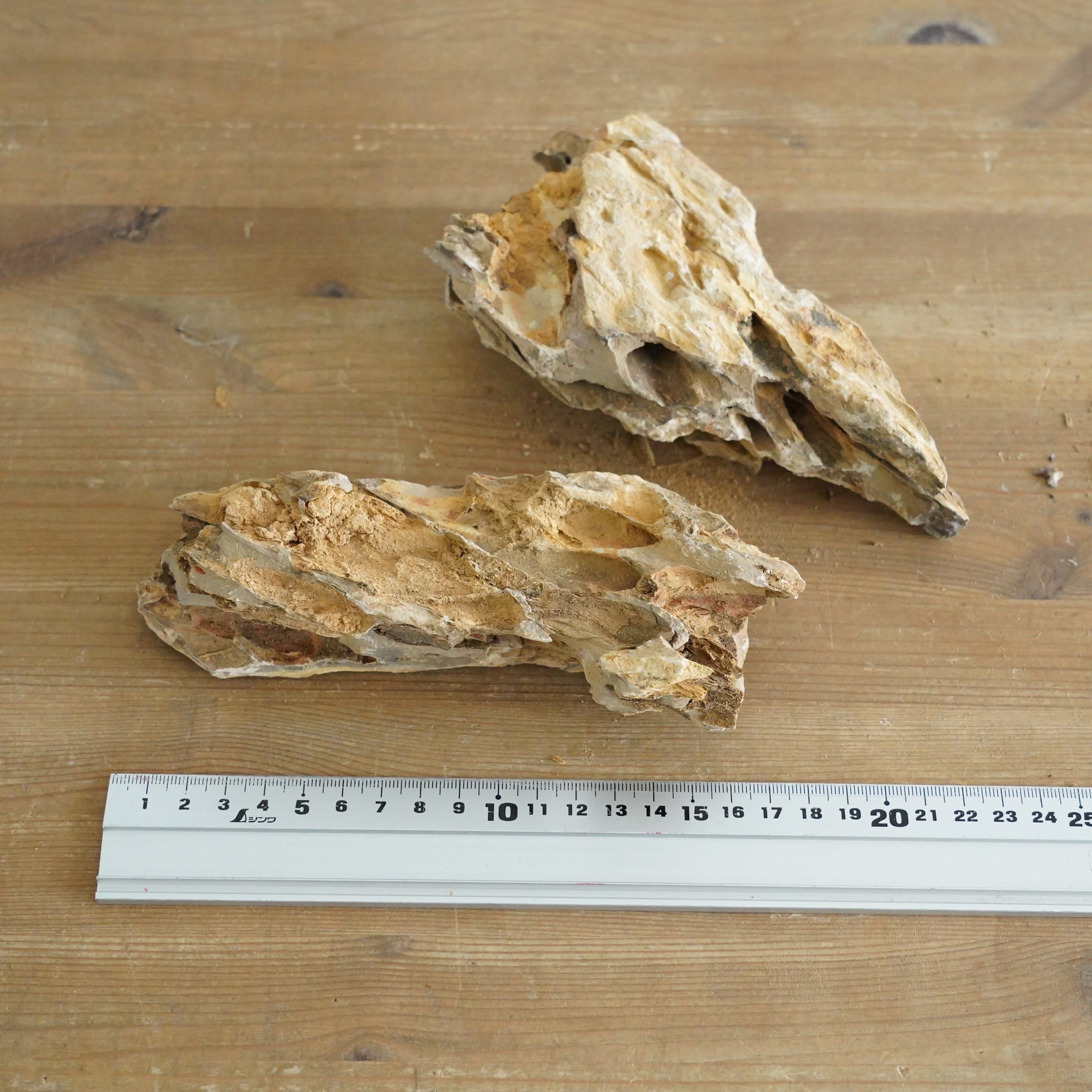 気孔石 大（10-18㎝）2個入り【レイアウト用・着生用】 | 苔テラリウム