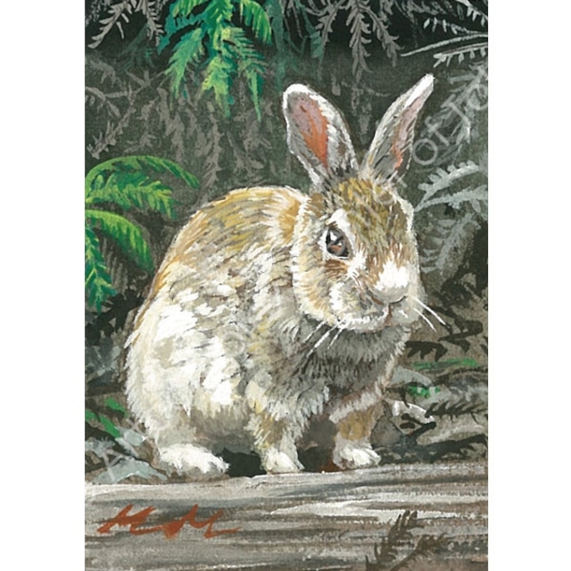 森 水翔「大久野島の森 I」