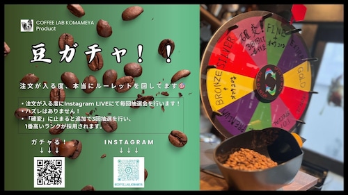【運試しで高級豆をGET❗️】コーヒー豆ガチャ（100g）