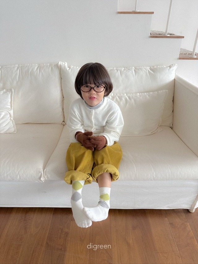 〘予約〙digreen / socks_argyle