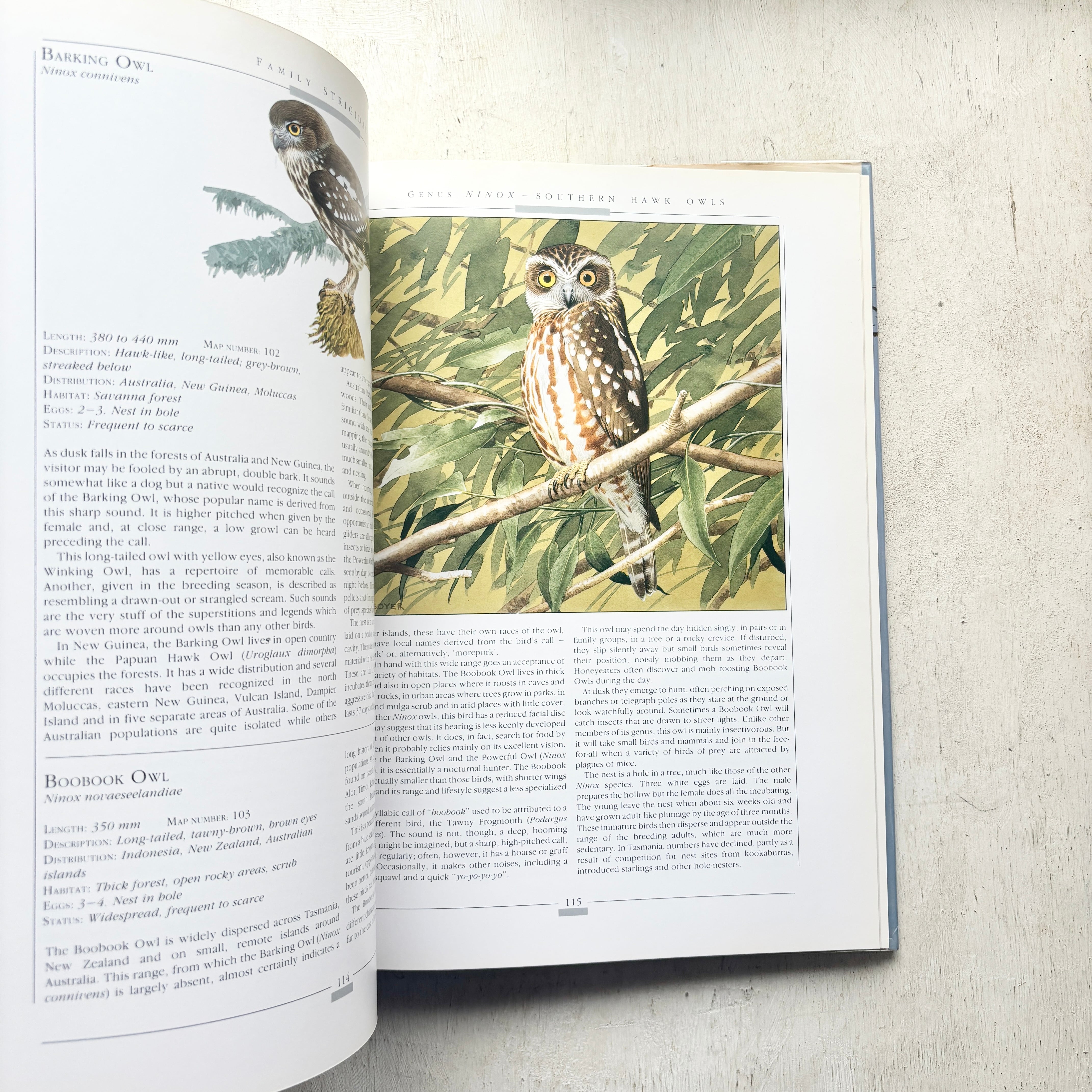 Owls of the World - Rob Hume世界のフクロウ図鑑　洋書 世界のふくろう OWLS OF THE WORLD | folklora
