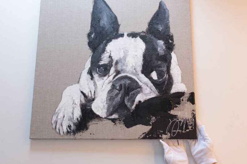 Boston Terrier / ボストンテリア / 犬の現代アート作品 絵画販売