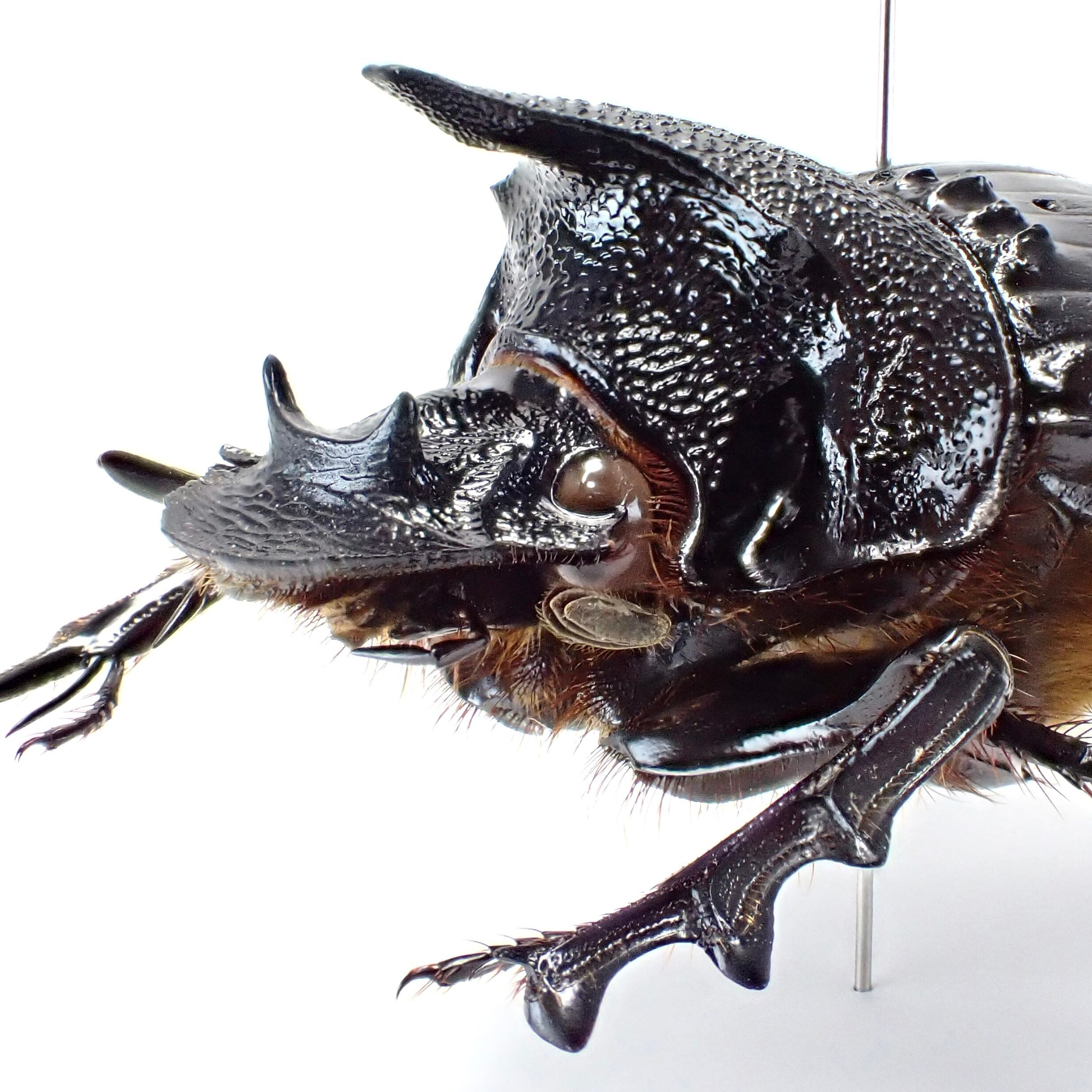 31959fa92d48652a596a8c71e00604