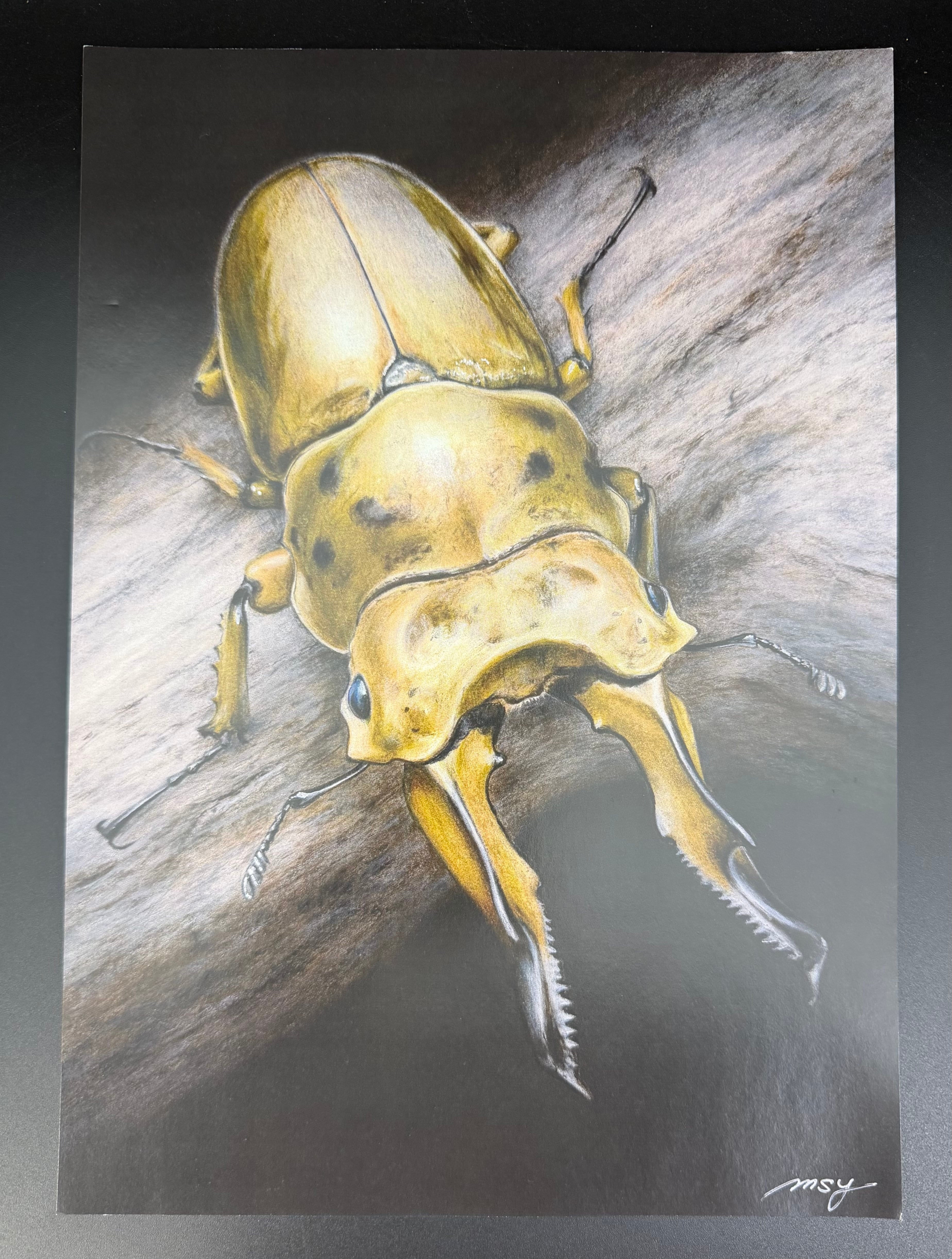 色鉛筆画 1枚 オウゴンオニ【複製画】 | KPW公式オンラインショップ