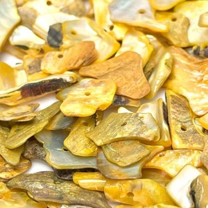 【10g】天然シェル（イエロー）5mm～18mm×5mm～11mm/貝/染色ビーズ/スペーサー