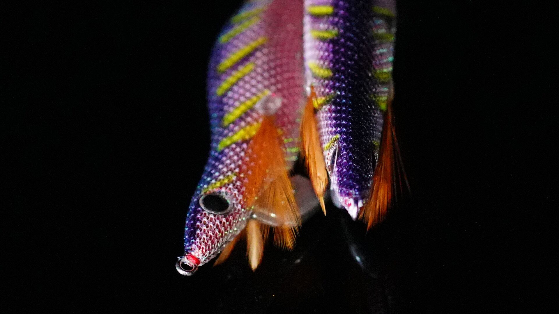 33】CROW3.0 プラムジャック | EMBER MAZE official shop