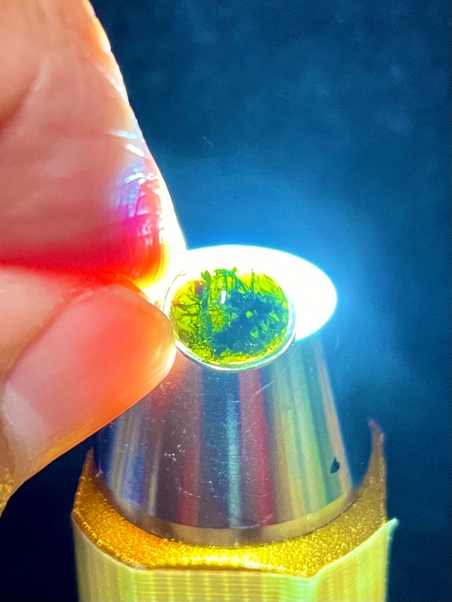 14) 究極のジュエリー・プラキ「グリーン・エンペラー」シルバーPT(ミニ)