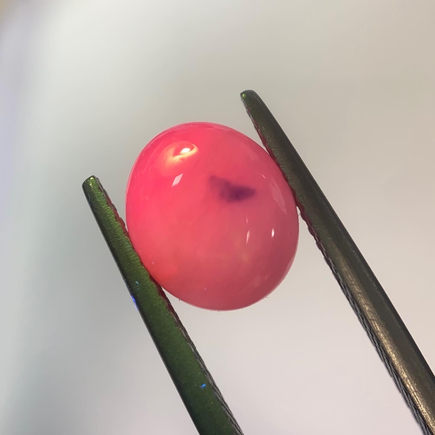 青い鳥たたずむサファイア