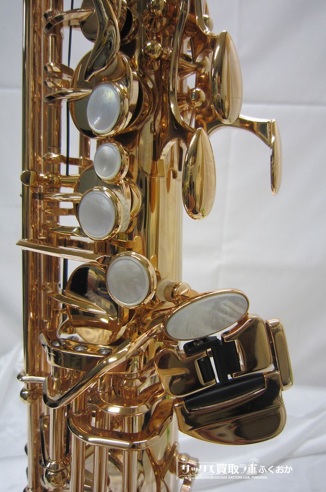 Yanagisawa A Wo Pgp ヤナギサワ ブロンズブラス製 ピンクゴールド 中古アルトサックス サックス買取ラボふくおか販売部 Sax Kaitori Lab Fukuoka Yanagisawa A Wo Pgp ヤナギサワ ブロンズブラス製 ピンクゴールド 中古アルトサックス サックス買取ラボふくおか販売部 Sax Kaitori Lab Fukuoka