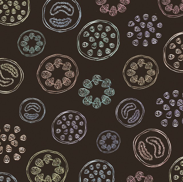 自然デザイン柄 植物の維管束 イラスト データ販売 Hug Rag Factory Onlineshop 自然デザイン柄 植物の維管束 イラスト データ販売 Hug Rag Factory Onlineshop