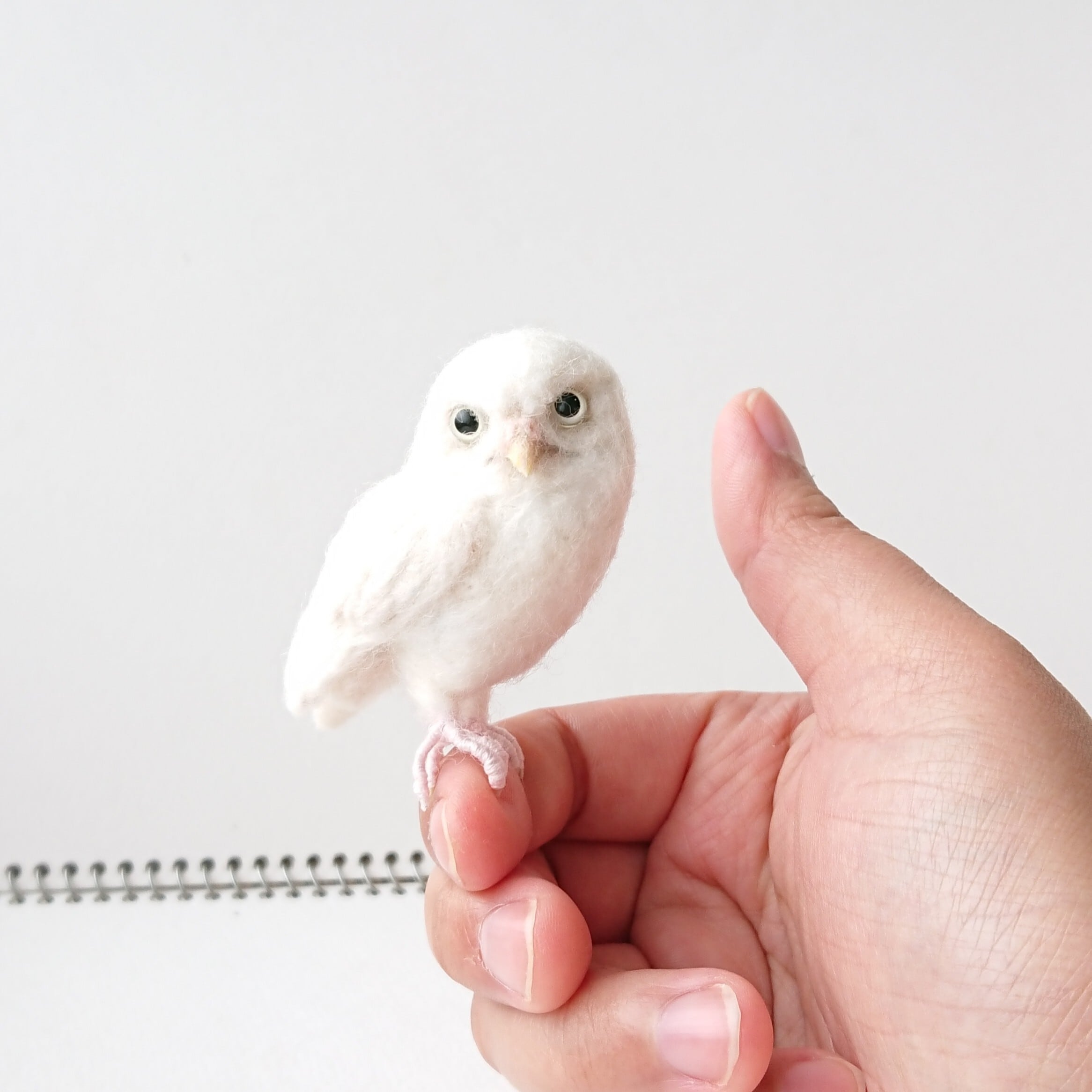 アルビノのコキンメフクロウマスコット 小 たぬき倶楽部