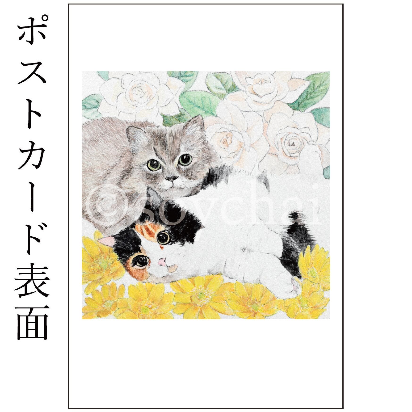 白猫とさくらんぼのキャンバスアート 15cm 白猫さん+桜] ポストカード | soychai