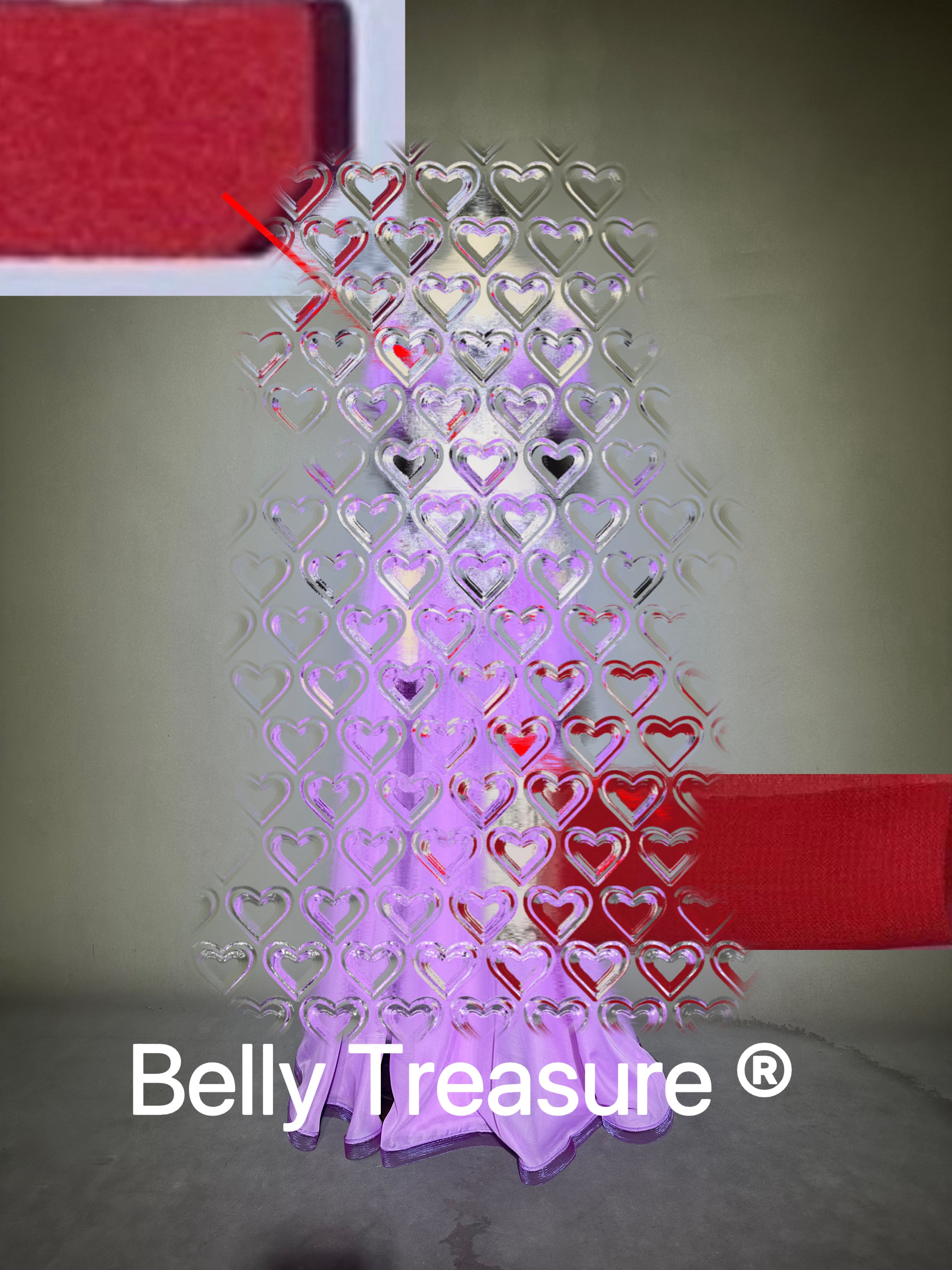 M様専用 ご注文窓口 ベリーダンス オーダーメイド衣装