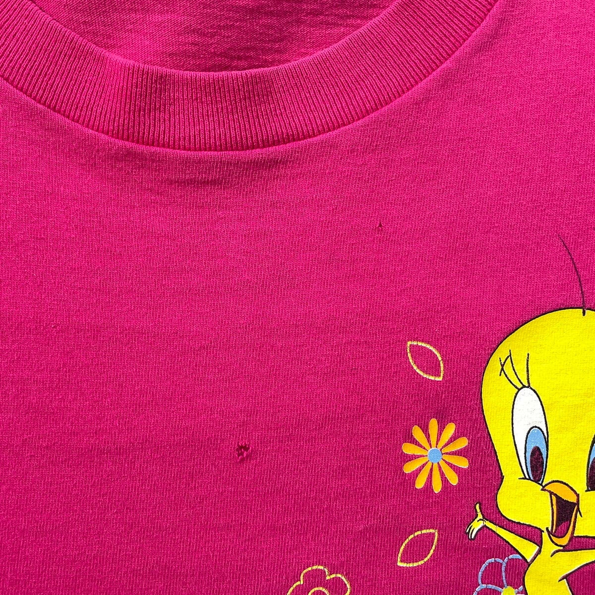 LOONEY TUNES ルーニー・テューンズ トゥイーティー キャラクター