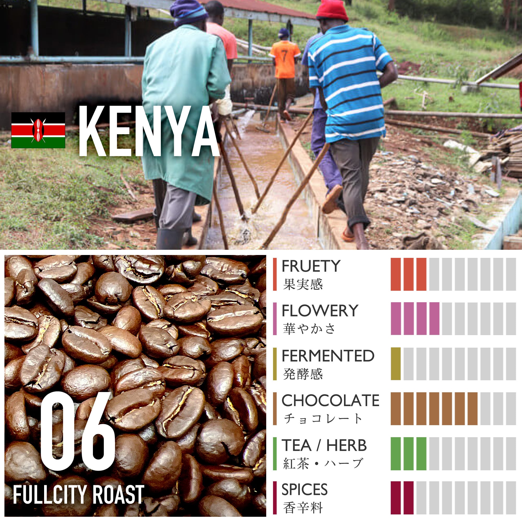 ケニア/ミトンドAA【中深煎り】