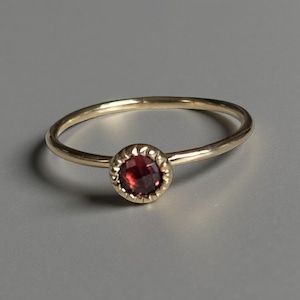 ガーネットリング 13号