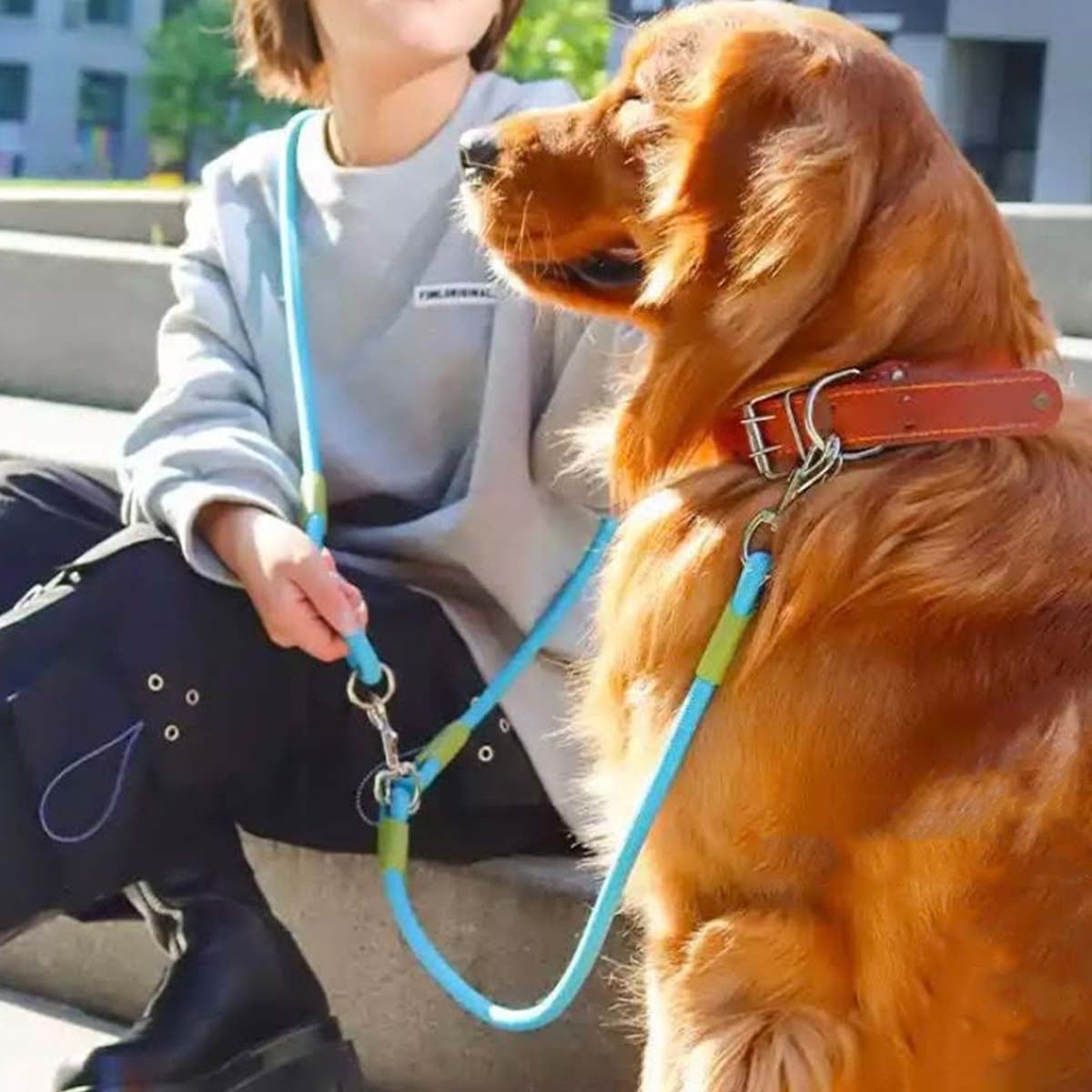 leash【中～大型犬ハンズフリー反射リード】たすき・腰・ショルダー